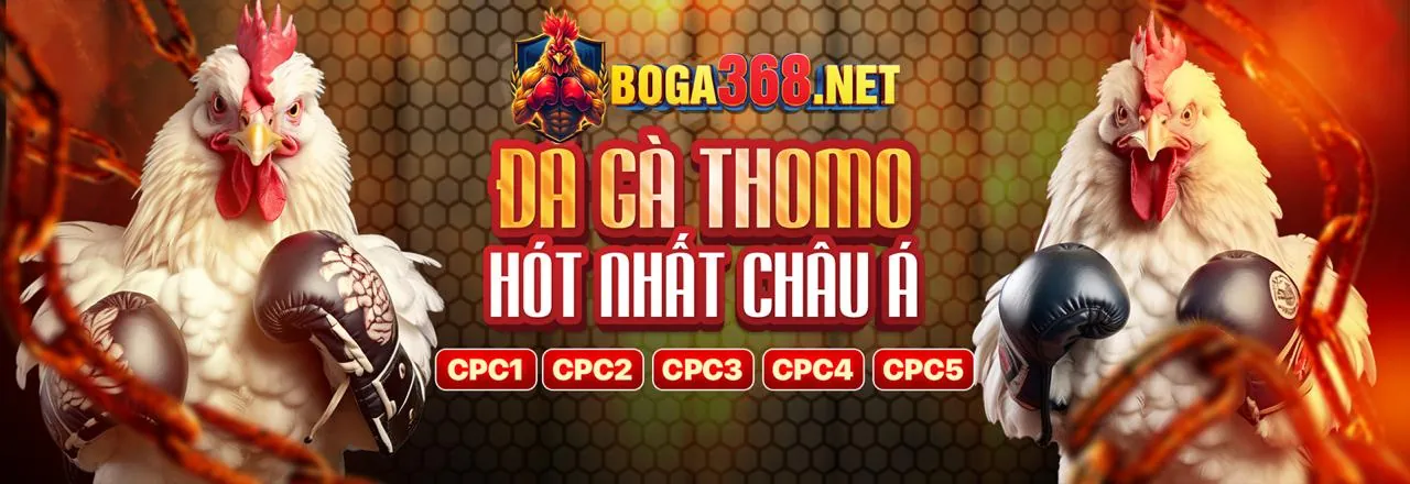 Biểu tượng hỗ trợ 24/7