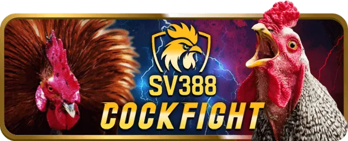 Chương trình hoàn trả và VIP g666 bet
