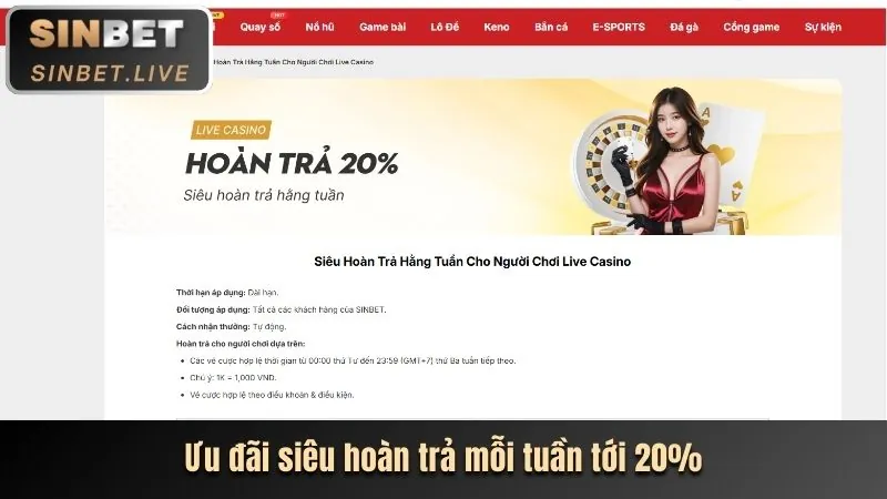 Hoàn Trả Cược Hàng Ngày